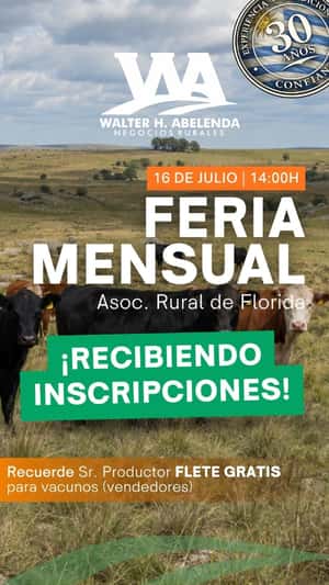 Feria mensual - Walter H Abelenda