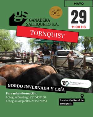 Gordo, Invernada y Cría en Tornquist