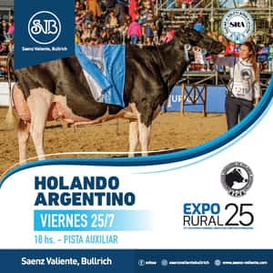 Holando Argentino - Reproductores PP