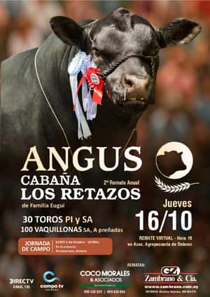 Imagen CABAÑA LOS RETAZOS