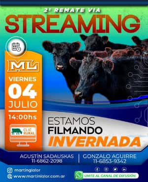 2do Remate virtual