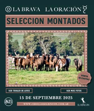 LA BRAVA-LA ORACION SELECCION MONTADOS