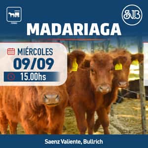 Feria en Gral. Madariaga