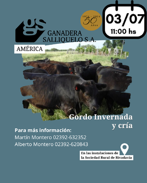REMATE EN AMÉRICA