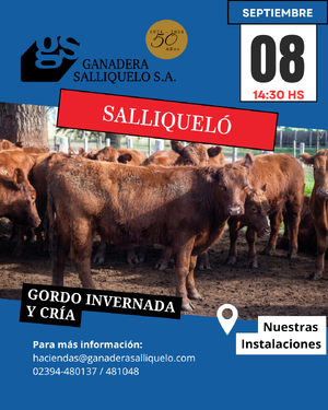 REMATE FERIA EN SALLIQUELÓ