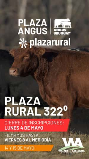 322º remate Plaza Rural