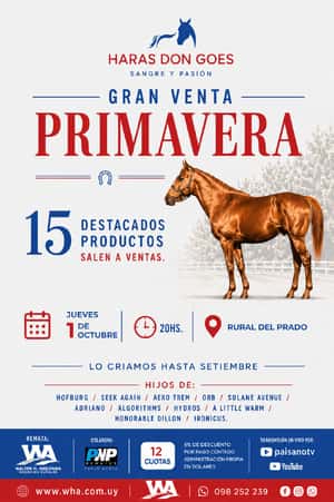 Haras Don Goes