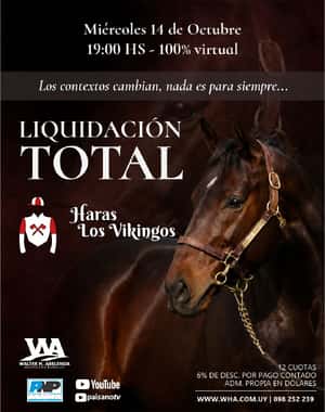 Stud & Haras Los Vikingos