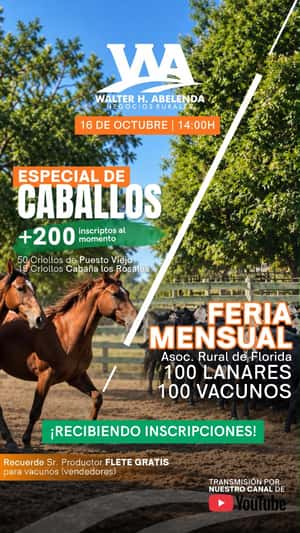 Feria Mensual + Especial de Caballos