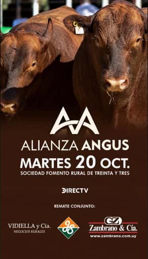 Alianza Angus