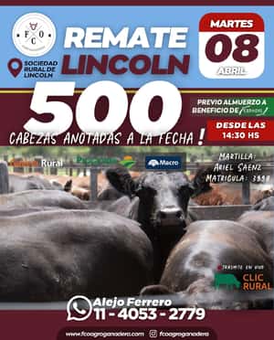 08 de Abril - Lincoln