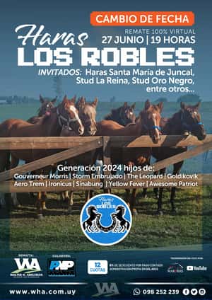 Haras Los Robles