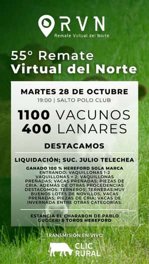 55º Remate Virtual del Norte