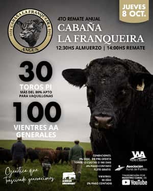 Cabaña La Franqueira
