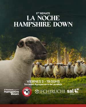 5º Remate - La Noche Hampshire Down