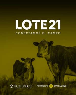 236º remate Lote21