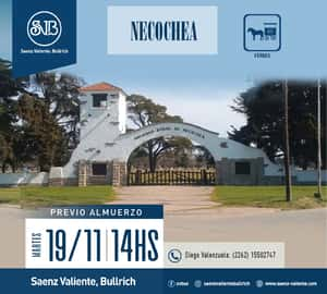 Feria en Necochea