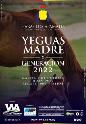 Yeguas Madre y Gen 2022
