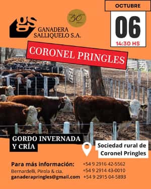 REMATE EN CORONEL PRINGLES