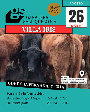 REMATE EN VILLA IRIS