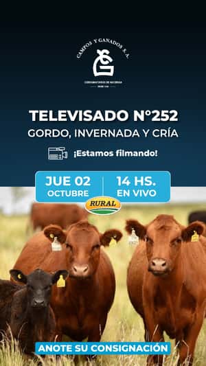 252° REMATE POR PANTALLA