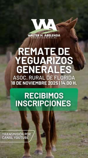 Remate de Yeguarizos Generales