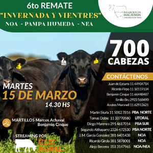 VI Remate Especial de Invernada y Vientres