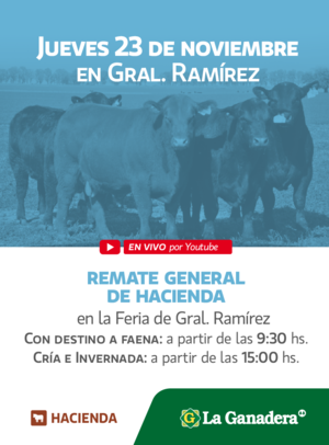 REMATE FERIA EN INSTALACIONES DE GRAL. RAMÍREZ