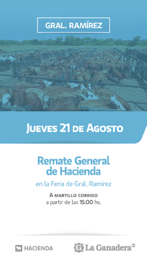 REMATE FERIA EN INSTALACIONES DE GRAL. RAMÍREZ