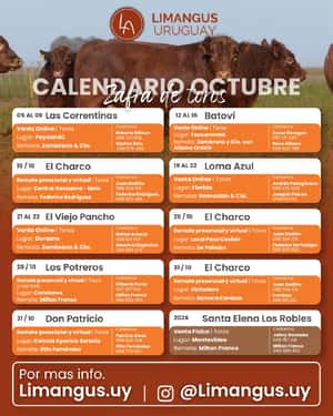 Santa Elena Los Robles FECHA A CONFIRMAR 
