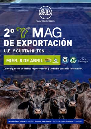 2° Remate MAG TV de Exportación