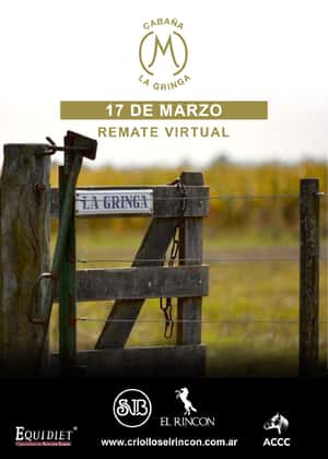 Remate Cabaña La Gringa