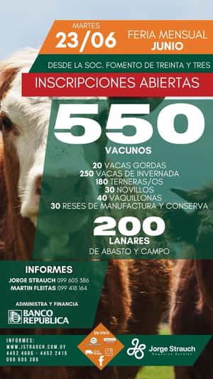 Feria mensual - Jorge Strauch