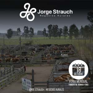 Feria Mensual - Jorge Strauch