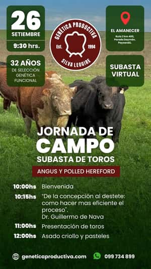 2026-09-26T00:00:00Z