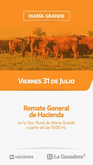 REMATE FERIA EN SOCIEDAD RURAL DE MARÍA GRANDE
