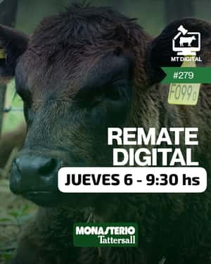 Remate digital 279°