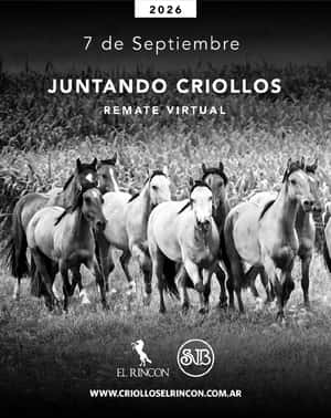 Juntando Criollos