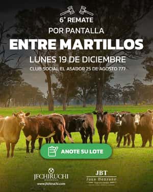 6º Remate Entre Martillos.