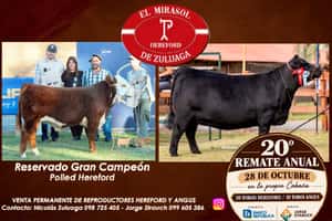 20º El Mirasol