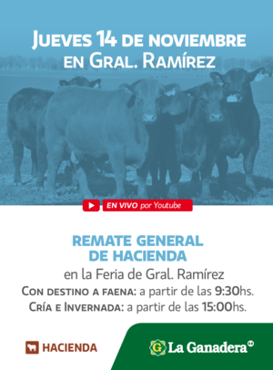 REMATE FERIA EN INSTALACIONES DE GRAL. RAMÍREZ