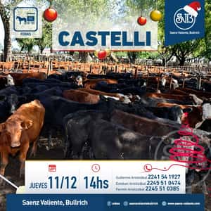 Feria en Castelli