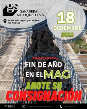 CIERRE DE AÑO EN EL MAG