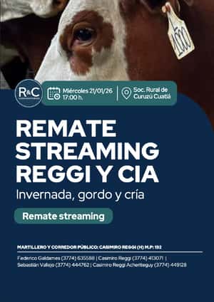 Remate streaming