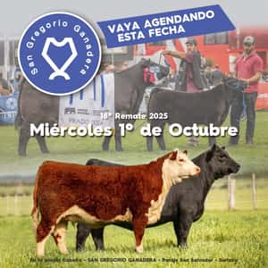 Imagen SAN GREGORIO GANADERA