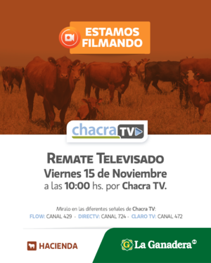 69º REMATE  TELEVISADO