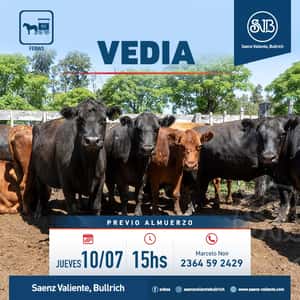 Feria en Vedia