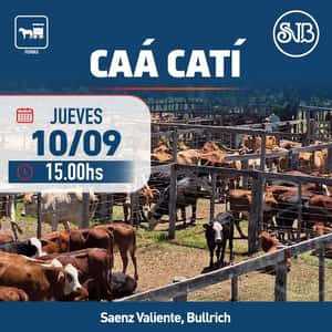 Feria en Caá Catí