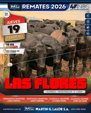 Las Flores (Feb 26´)