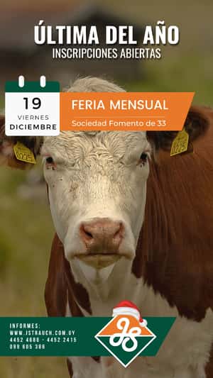Feria Mensual - Jorge Strauch